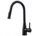 American Imaginations 8.25-in. W Kitchen Sink Faucet_AI-34887 AI-34887
